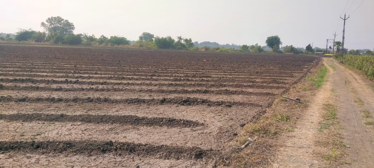 Agricultural Land